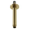 Colore Round Brushed Brass 150mm Round Vertical Shower Arm