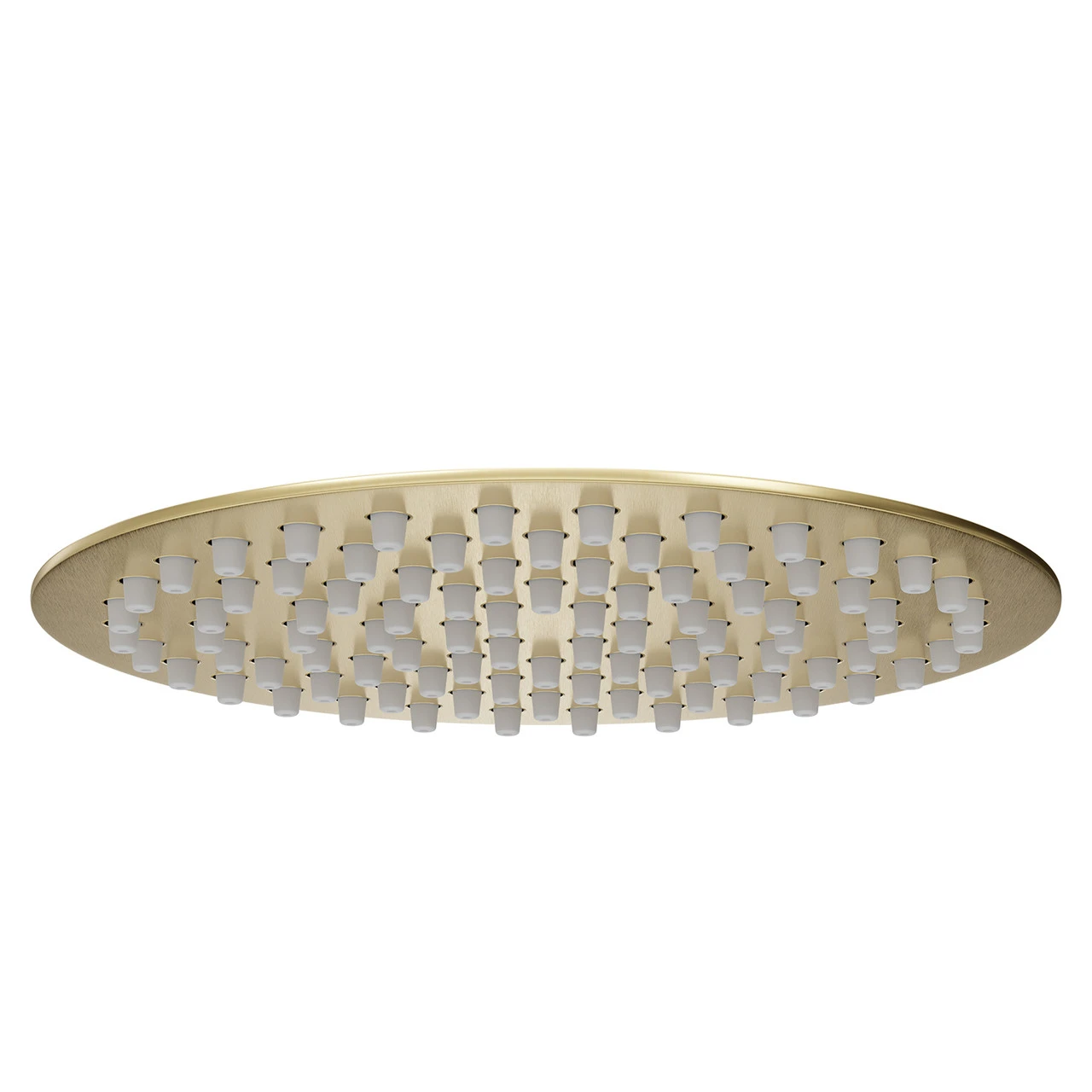 Colore Round Brushed Brass 200mm Thin Fixed Shower Head - Image 4