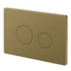 Colore Brushed Brass Pneumatic Dual Flush Plate With Round Buttons