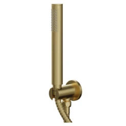Colore Round Brushed Brass Shower Outlet Holder And Kit