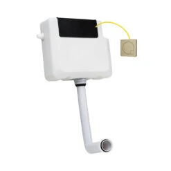 Colore Concealed Cistern With Front Access And Square Brushed Brass Modern Dual Flush Push Button