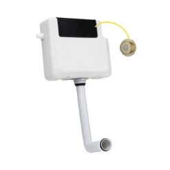 Colore Concealed Cistern With Round Brushed Brass Traditional Dual Flush Push Button