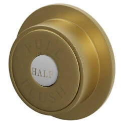 Colore Round Brushed Brass Traditional Dual Flush Push Button
